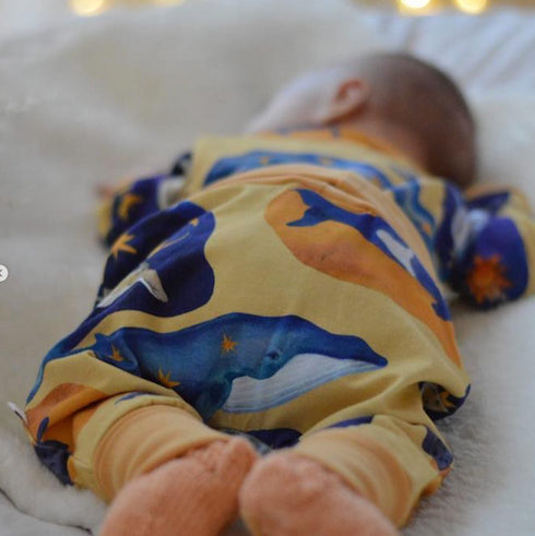 Body – Uni (verschiedene Farben)