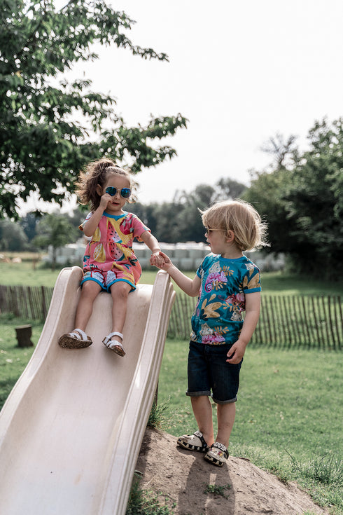 T-shirt – Chamäleon