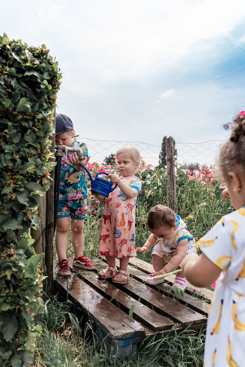 Shorts – Chamäleons