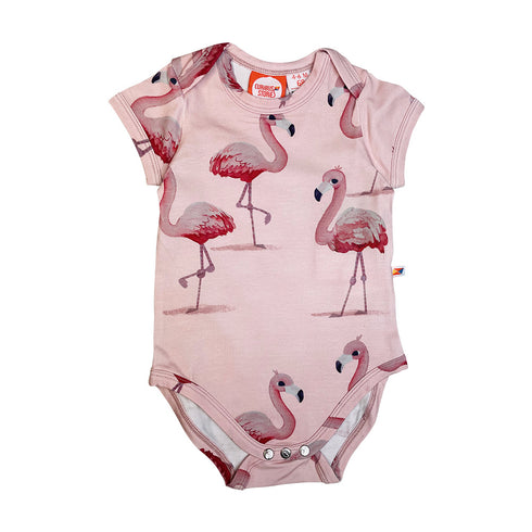 Body – Flamingo
