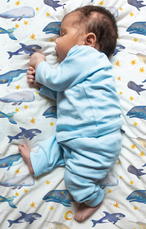 Premium Musselintuch – Wale (120x120cm)